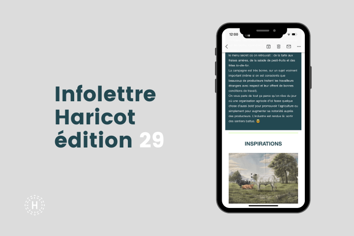 Infolettre Haricot Marketing - Édition 29
