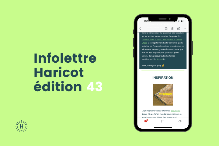 infolettre-haricot-edition-43-vignette